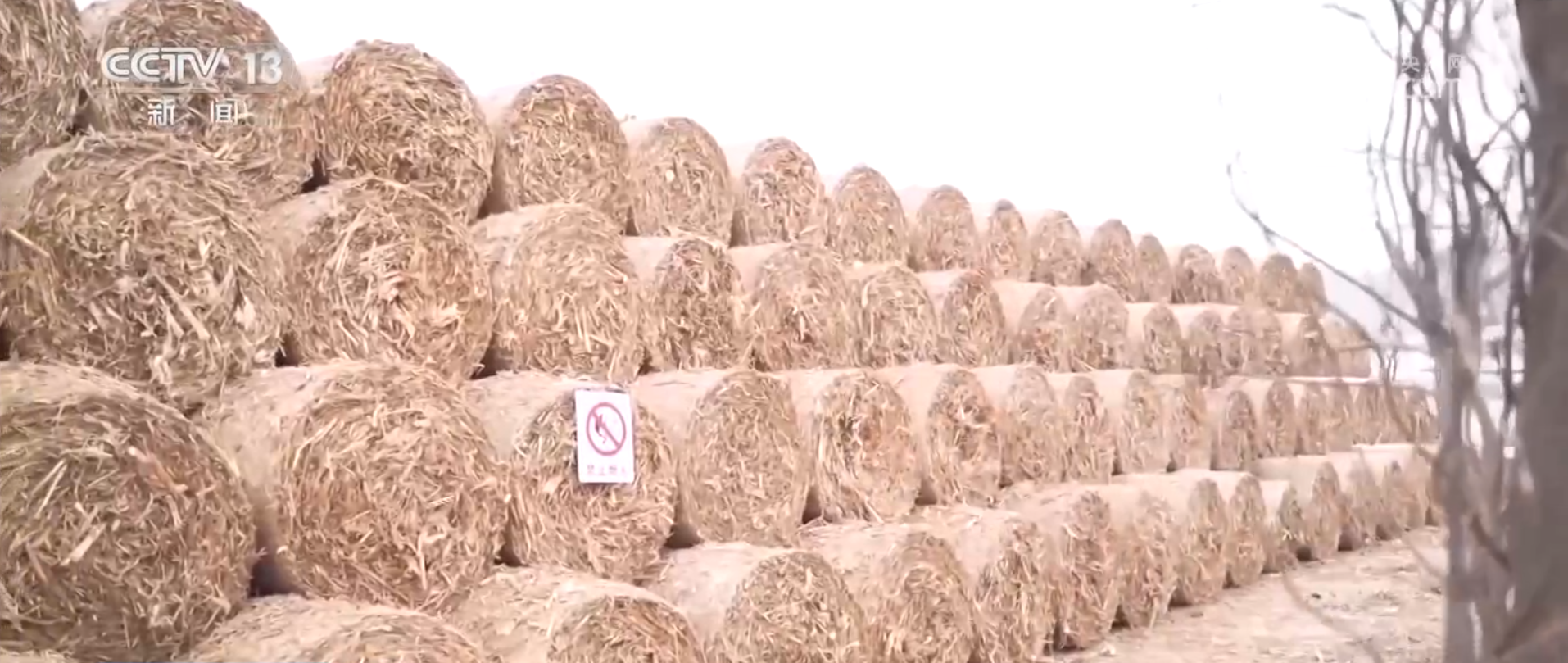 
北京世纪坛医院黄牛代挂号电话票贩子号贩子网上预约挂号,住院检查加快,从“赶大集”到“打卡草垛迷宫” 一起感受冬日乡村生活“烟火气”