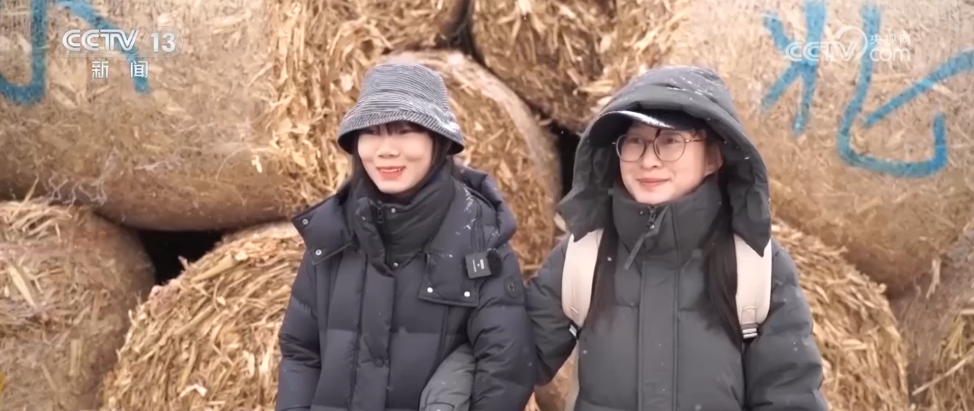 
北京世纪坛医院黄牛代挂号电话票贩子号贩子网上预约挂号,住院检查加快,从“赶大集”到“打卡草垛迷宫” 一起感受冬日乡村生活“烟火气”