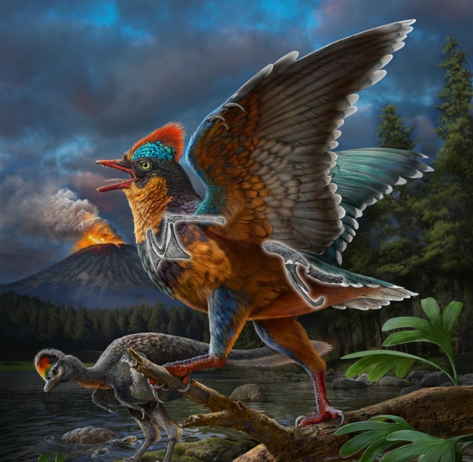 
北京中医院黄牛代挂号电话票贩子号贩子网上预约挂号,住院检查加快,科学与健康|改写生命演化史！2025我国古生物学研究在多领域取得突破