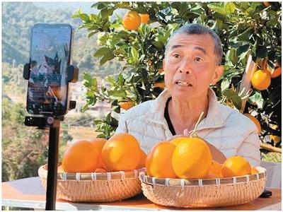 
北京鼓楼医院孙凌云黄牛代挂号电话票贩子号贩子网上预约挂号,住院检查加快,“台湾阿公”的“归根”之旅