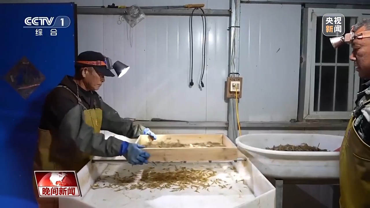 
中日友好医院黄牛代挂号电话票贩子号贩子网上预约挂号,住院检查加快,从油气生产、数字消费、智慧农业等多领域成就 感受中国经济活力