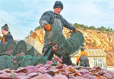 
北京大学第一医院黄牛代挂号电话票贩子号贩子网上预约挂号,住院检查加快,海洋牧场科技范儿（“融”观中国）