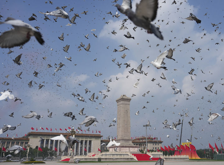 
广东省中医院黄牛代挂号电话票贩子号贩子网上预约挂号,住院检查加快,党和国家功勋荣誉表彰工作十年间书写新篇章