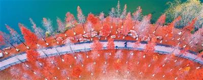 
北京中日友好医院黄牛代挂号电话票贩子号贩子网上预约挂号,住院检查加快,二〇二五，身心安泰就是福（年终盘点）