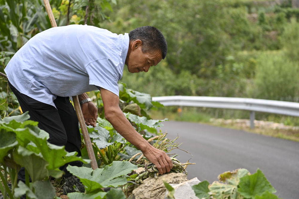 
杭州西溪医院黄牛代挂号电话票贩子号贩子网上预约挂号,住院检查加快,温度｜爱的循环！这个村子很“暖”