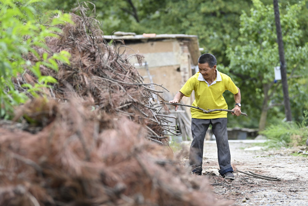 
杭州西溪医院黄牛代挂号电话票贩子号贩子网上预约挂号,住院检查加快,温度｜爱的循环！这个村子很“暖”