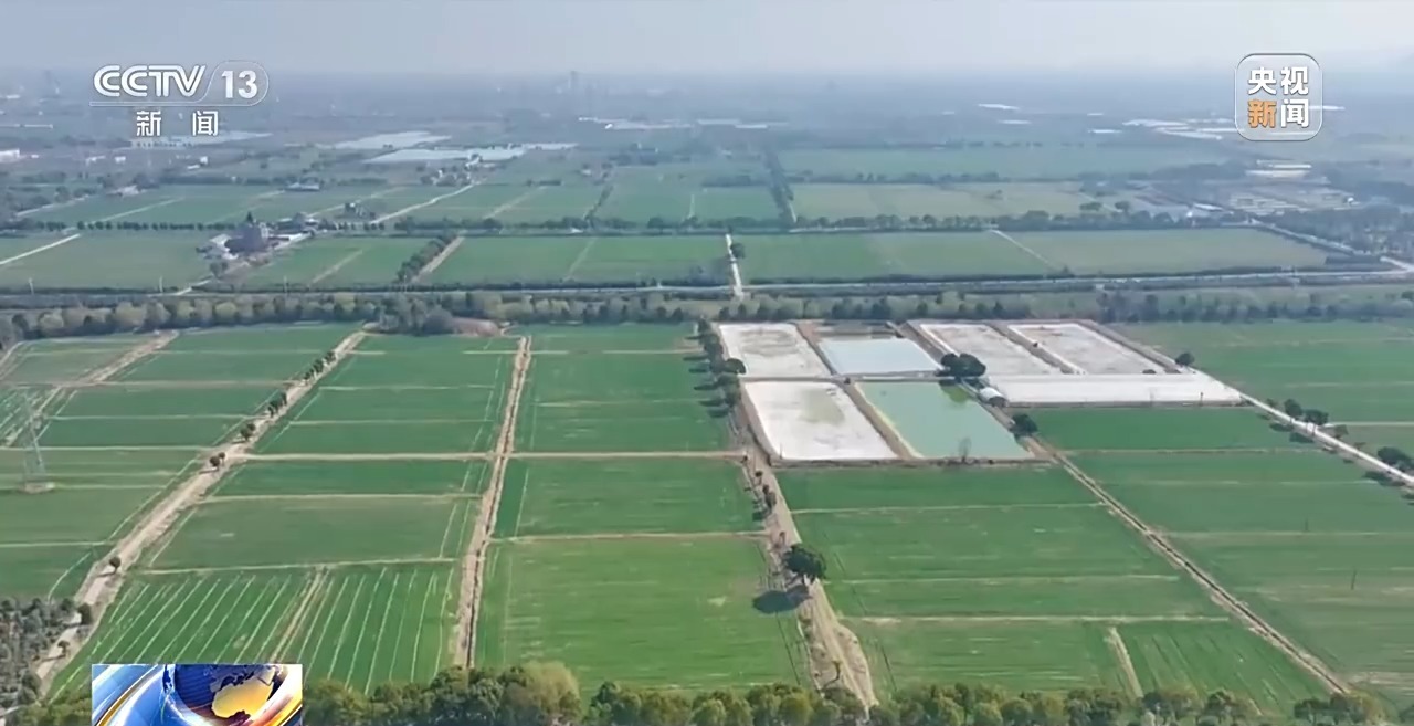 
北京朝阳医院黄牛代挂号电话票贩子号贩子网上预约挂号,住院检查加快,定制农机、专属CT 解锁技术服务助农增收的智慧密码