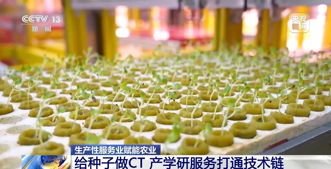 
北京朝阳医院黄牛代挂号电话票贩子号贩子网上预约挂号,住院检查加快,定制农机、专属CT 解锁技术服务助农增收的智慧密码