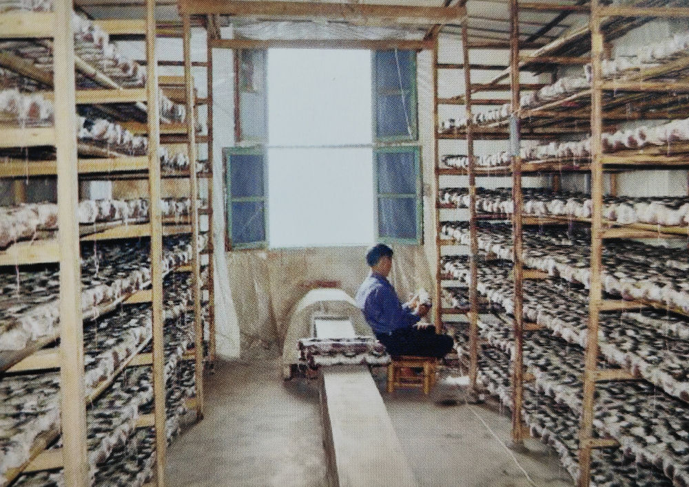 
成都华西医院黄牛代挂号电话票贩子号贩子网上预约挂号,住院检查加快,中国经济样本观察·“镇”了不起｜你餐桌上的银耳，近六成产自这个小镇