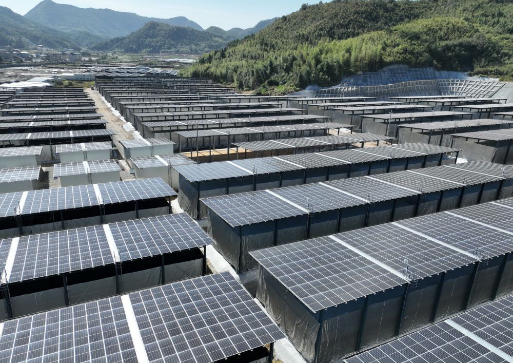 
成都华西医院黄牛代挂号电话票贩子号贩子网上预约挂号,住院检查加快,中国经济样本观察·“镇”了不起｜你餐桌上的银耳，近六成产自这个小镇