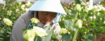 
江苏省中医院黄煌的号黄牛代挂号电话票贩子号贩子网上预约挂号,住院检查加快,微视频｜人民幸福是头等大事