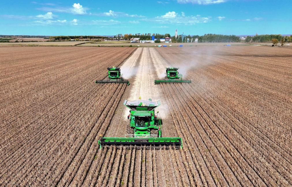 
上海仁济医院黄牛代挂号电话票贩子号贩子网上预约挂号,住院检查加快,数览中国脉动｜粮稳天下安！“大国粮仓”高位增产