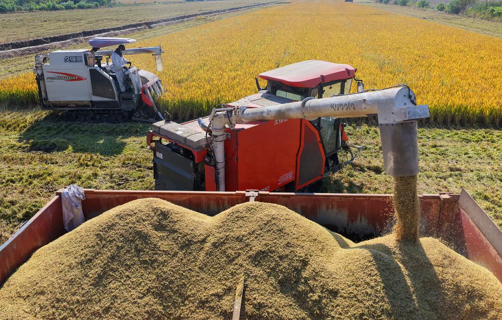
上海仁济医院黄牛代挂号电话票贩子号贩子网上预约挂号,住院检查加快,数览中国脉动｜粮稳天下安！“大国粮仓”高位增产