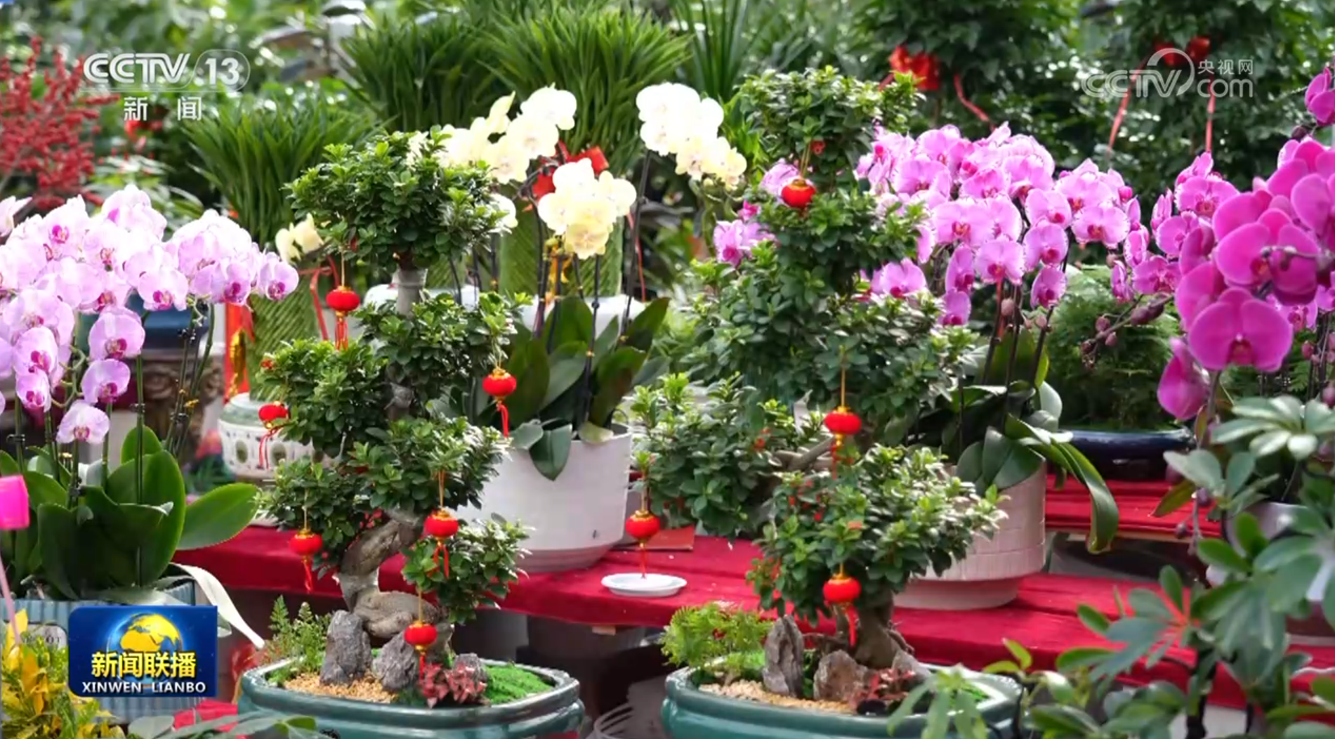 
广州市第一人民医院黄牛代挂号电话票贩子号贩子网上预约挂号,住院检查加快,各地装扮一新迎接新年