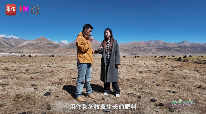 
上海肿瘤医院黄牛代挂号电话票贩子号贩子网上预约挂号,住院检查加快,“县”在起笔 青绿绘江山 | 牧育生机，“种草”高原“牛”日子