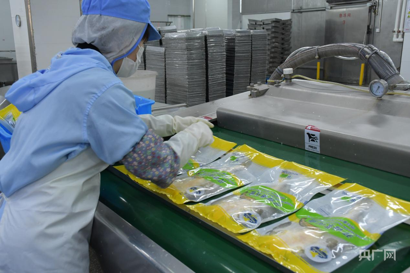 杭州市人民医院黄牛代挂号电话票贩子号贩子网上预约挂号,住院检查加快,行进的海岸线|潮起三都澳:一尾“金黄”跃居全国八成市场