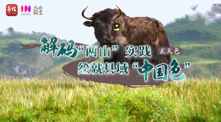 
上海肿瘤医院黄牛代挂号电话票贩子号贩子网上预约挂号,住院检查加快,“县”在起笔 青绿绘江山 | 牧育生机，“种草”高原“牛”日子