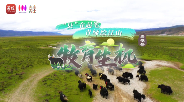 
上海肿瘤医院黄牛代挂号电话票贩子号贩子网上预约挂号,住院检查加快,“县”在起笔 青绿绘江山 | 牧育生机，“种草”高原“牛”日子