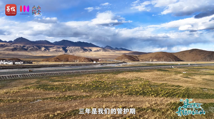 
上海肿瘤医院黄牛代挂号电话票贩子号贩子网上预约挂号,住院检查加快,“县”在起笔 青绿绘江山 | 牧育生机，“种草”高原“牛”日子