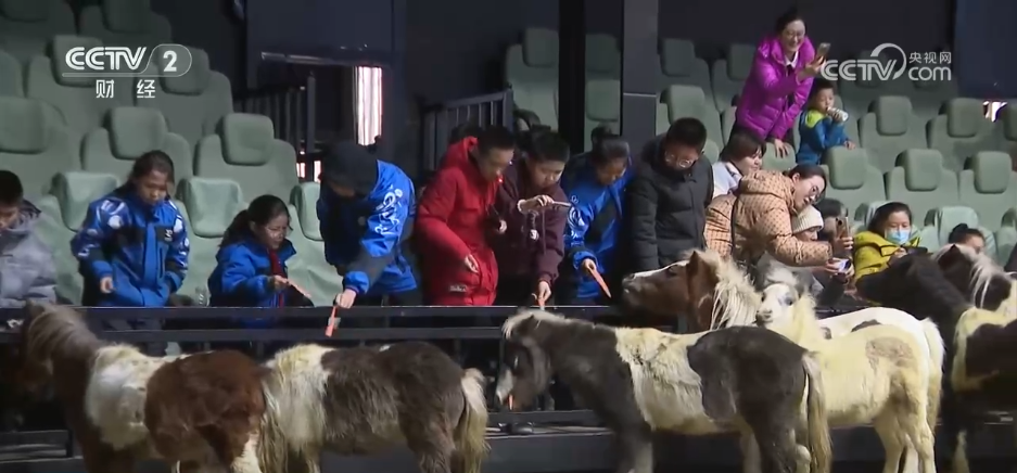 
北医六院黄牛代挂号电话票贩子号贩子网上预约挂号,住院检查加快,各地冬日文旅融合“多点开花” 消费“旺”势十足