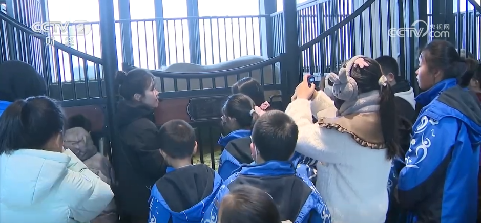 
北医六院黄牛代挂号电话票贩子号贩子网上预约挂号,住院检查加快,各地冬日文旅融合“多点开花” 消费“旺”势十足