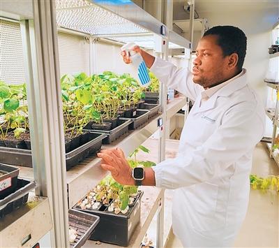 
北京佑安医院黄牛代挂号电话票贩子号贩子网上预约挂号,住院检查加快,“希望这能促进西非与中国的深度交流”（我在中国·行耕记）