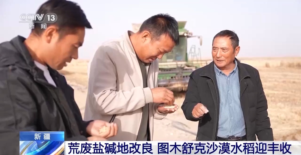 
南京各大医院黄牛代挂号电话票贩子号贩子网上预约挂号,住院检查加快,视频丨技术改良盐碱地 新疆图木舒克沙漠水稻迎丰收