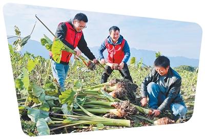 
中山大学孙逸仙纪念医院黄牛代挂号电话票贩子号贩子网上预约挂号,住院检查加快,组织向下扎根 产业拔节生长（前沿观察·农村党建调研行）
