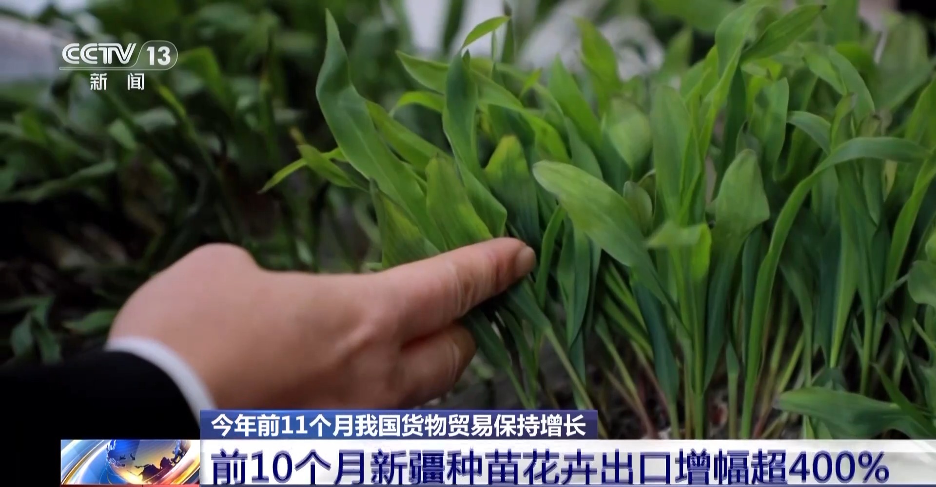 
上海儿童医学中心黄牛代挂号电话票贩子号贩子网上预约挂号,住院检查加快,为何前11个月外贸走得稳？三大关键词解读