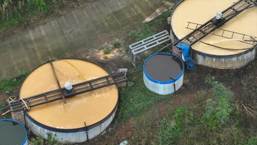 
北京各大医院黄牛代挂号电话票贩子号贩子网上预约挂号,住院检查加快,冬日暖阳里 听一首乡村振兴交响曲