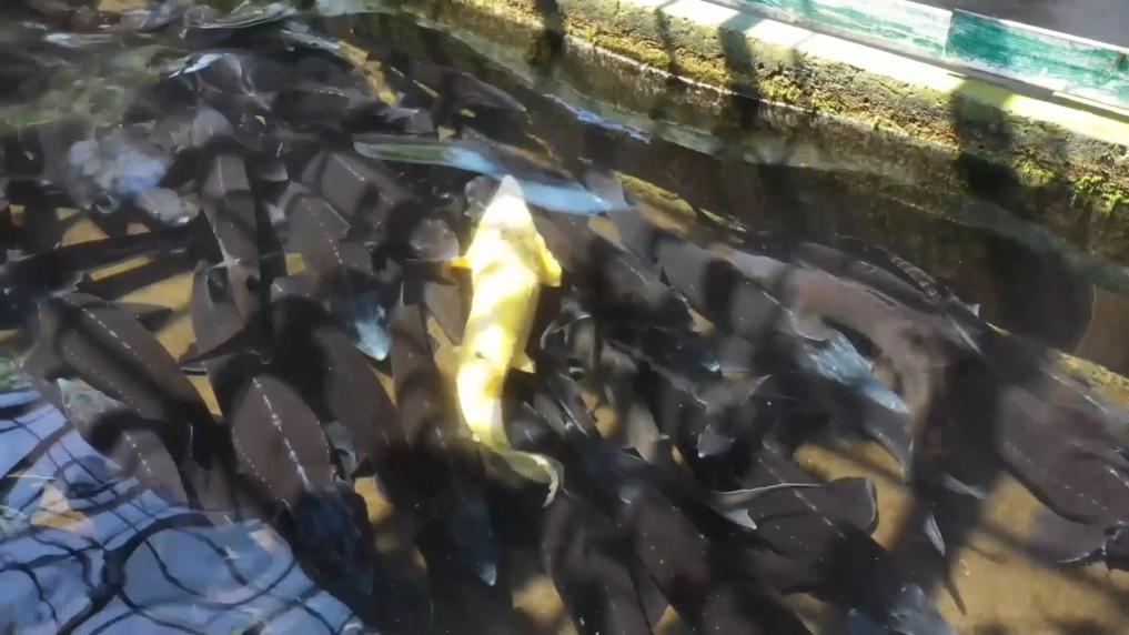 
北京各大医院黄牛代挂号电话票贩子号贩子网上预约挂号,住院检查加快,冬日暖阳里 听一首乡村振兴交响曲