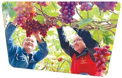 
中山大学孙逸仙纪念医院黄牛代挂号电话票贩子号贩子网上预约挂号,住院检查加快,组织向下扎根 产业拔节生长（前沿观察·农村党建调研行）