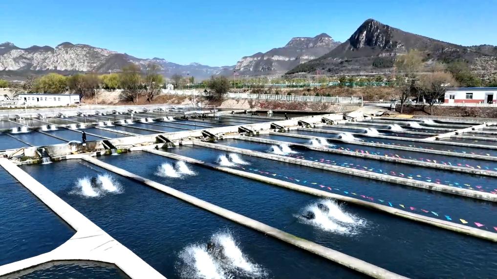 
北京各大医院黄牛代挂号电话票贩子号贩子网上预约挂号,住院检查加快,冬日暖阳里 听一首乡村振兴交响曲