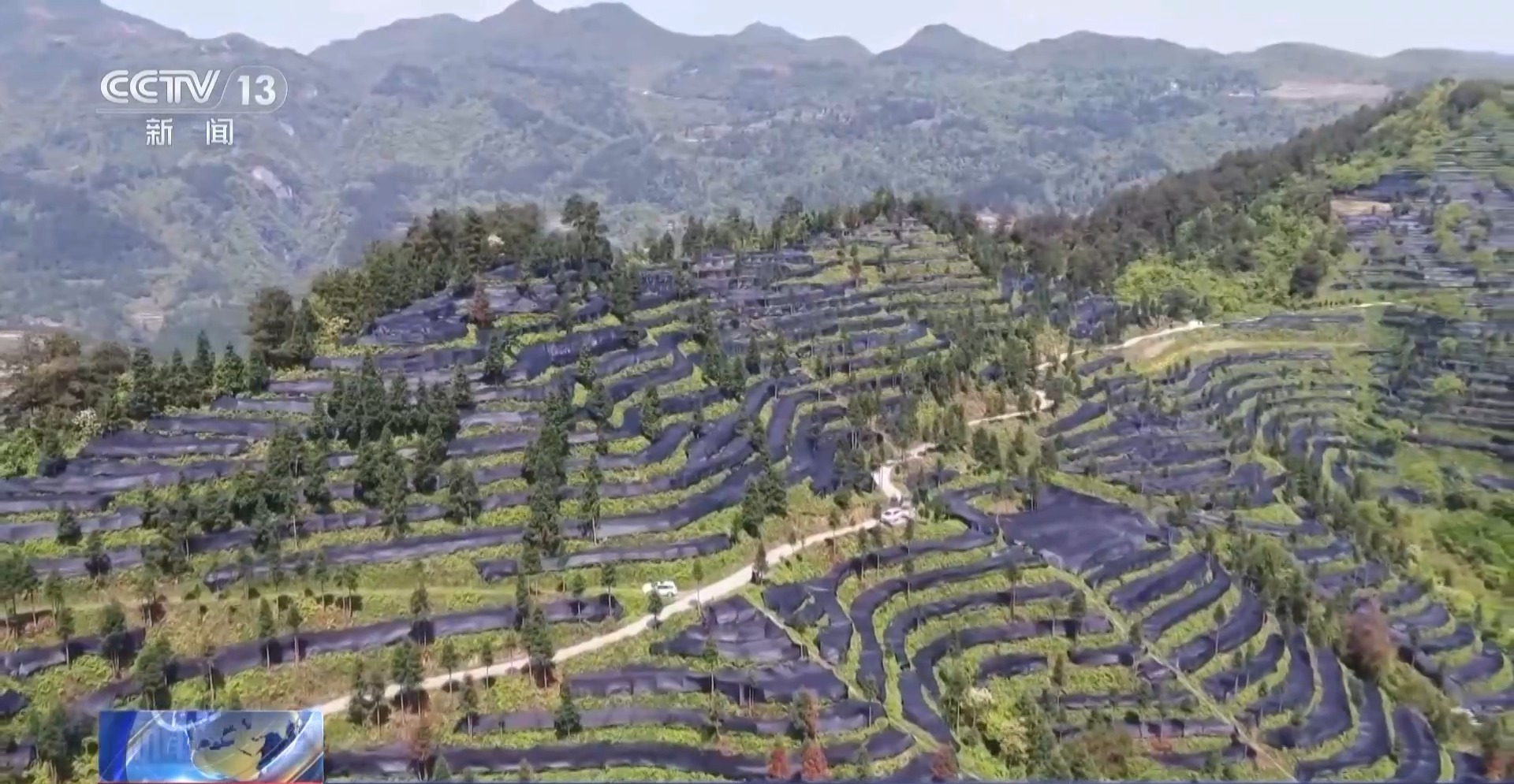 
北京301医院黄牛代挂号电话票贩子号贩子网上预约挂号,住院检查加快,从一片树叶、一杯咖啡到美妆小瓶罐 看小产品如何撬动大市场