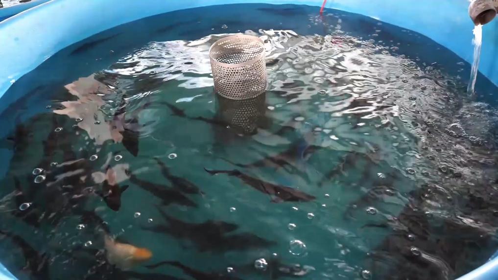 
北京各大医院黄牛代挂号电话票贩子号贩子网上预约挂号,住院检查加快,冬日暖阳里 听一首乡村振兴交响曲