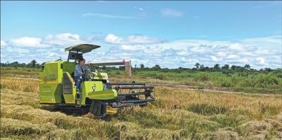 
广州中山一院黄牛代挂号电话票贩子号贩子网上预约挂号,住院检查加快,“助力塞拉利昂早日实现粮食自给自足”（共创繁荣发展新时代）