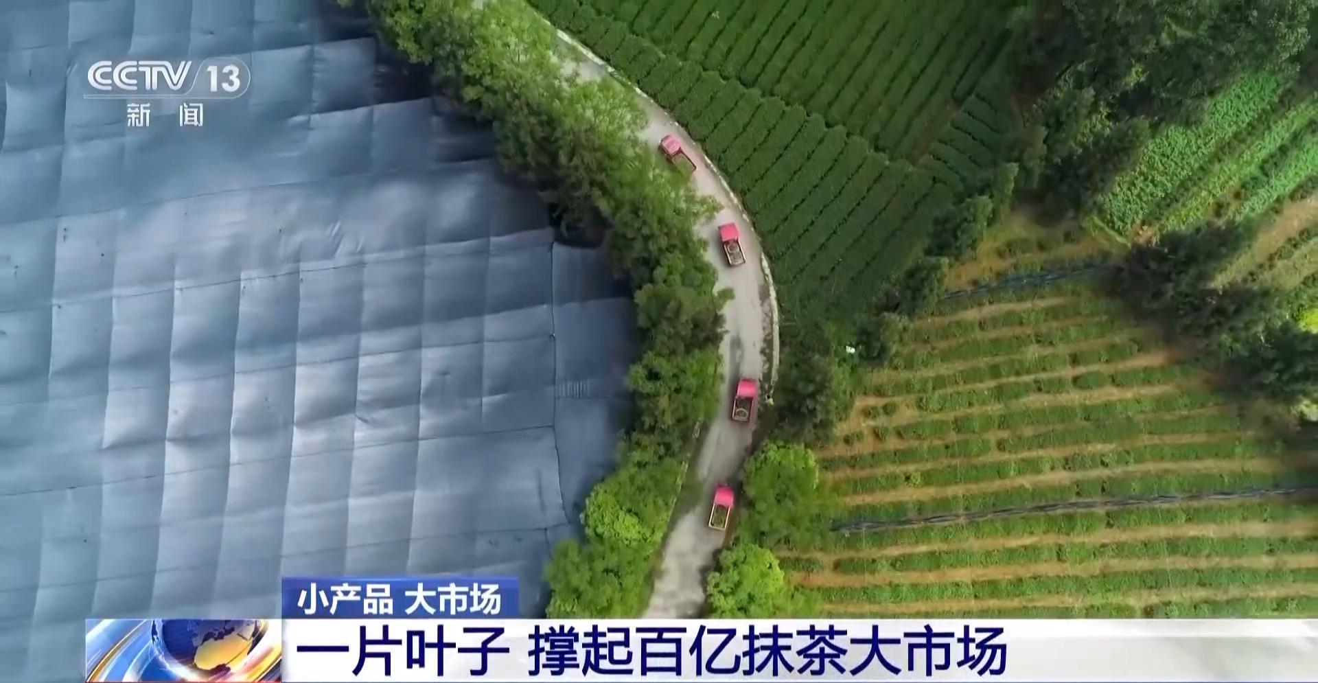 
北京301医院黄牛代挂号电话票贩子号贩子网上预约挂号,住院检查加快,从一片树叶、一杯咖啡到美妆小瓶罐 看小产品如何撬动大市场