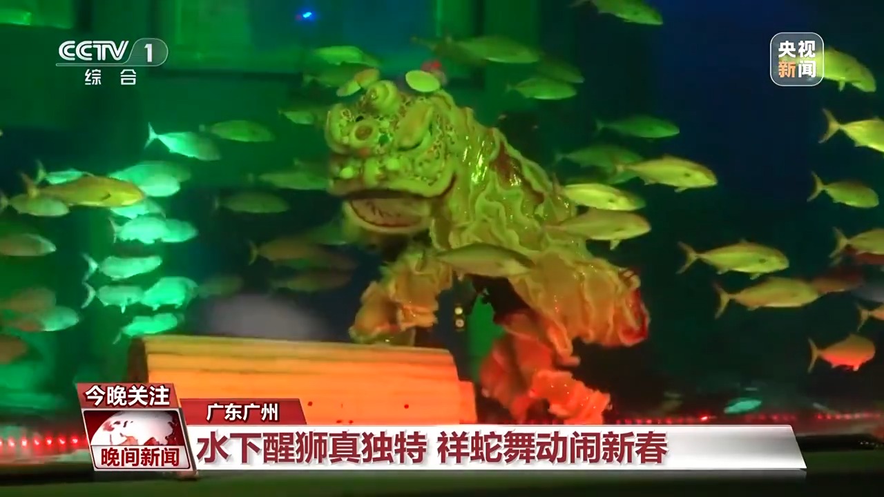 
北京阜外医院黄牛代挂号电话票贩子号贩子网上预约挂号,住院检查加快,春节除了逛庙会还能干什么？赶快去各地打卡民俗 感受假日魅力~