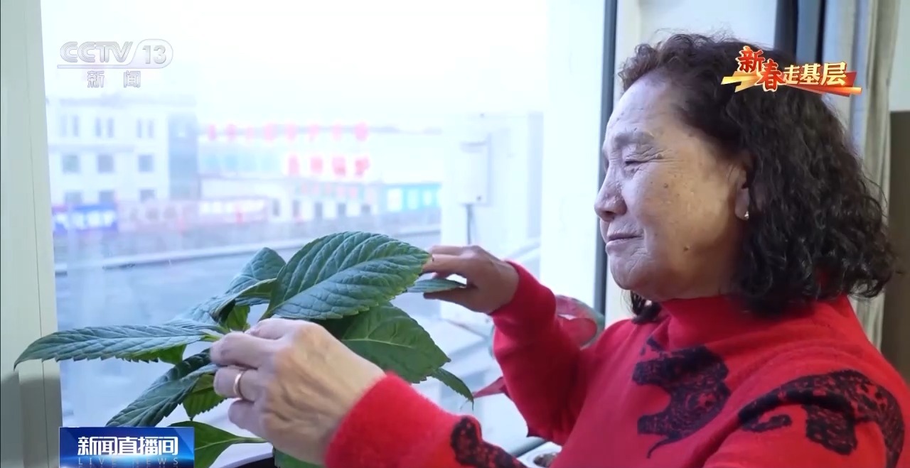 
中国中医科学院西苑黄牛代挂号电话票贩子号贩子网上预约挂号,住院检查加快,在这家“看不见”的养老院 他们找到温暖与希望