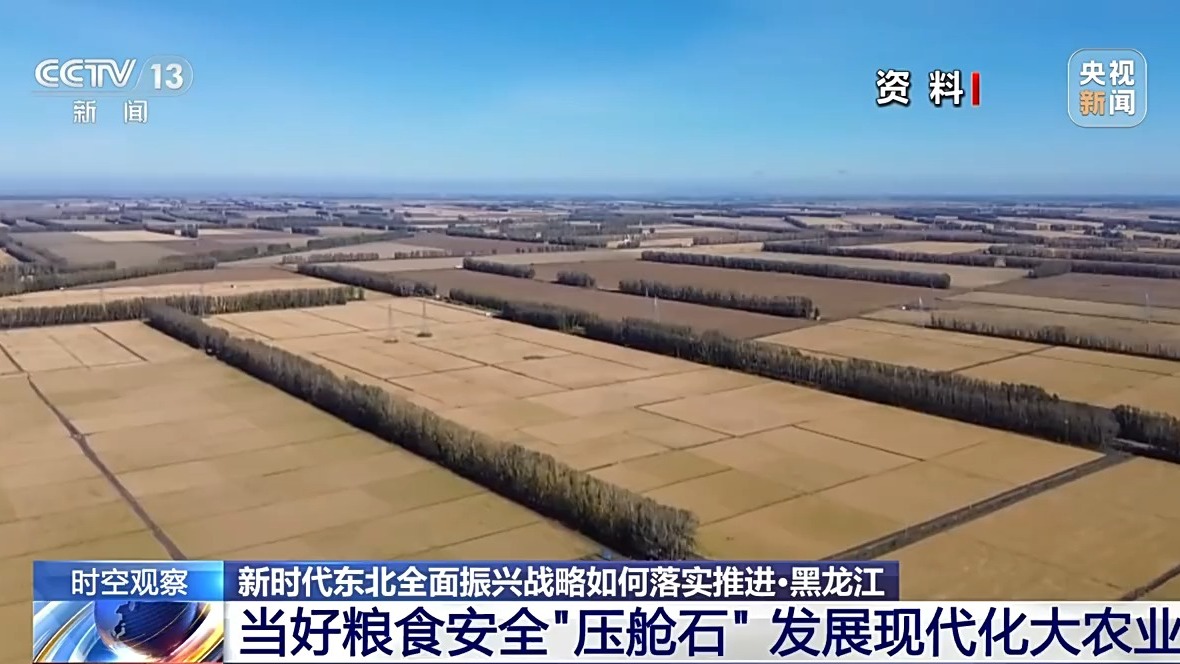 
上海龙华医院黄牛代挂号电话票贩子号贩子网上预约挂号,住院检查加快,“冷资源”如何变“热产业”？把握东北全面振兴新机遇