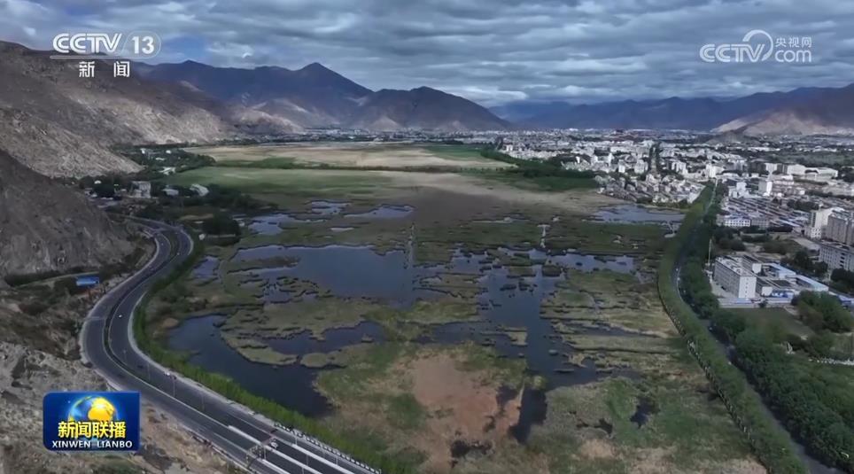 
北京协和医院黄牛代挂号电话票贩子号贩子网上预约挂号,住院检查加快,【新年新气象 奋斗正当时】实干为要 为高质量发展蓄势赋能