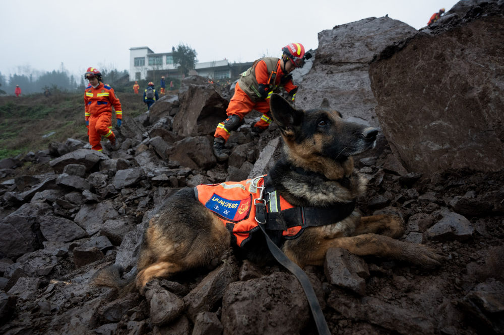 
南京脑科医院黄牛代挂号电话票贩子号贩子网上预约挂号,住院检查加快,我在现场·照片背后的故事 | 四川筠连山体滑坡救援直击：分秒必争，与时间赛跑