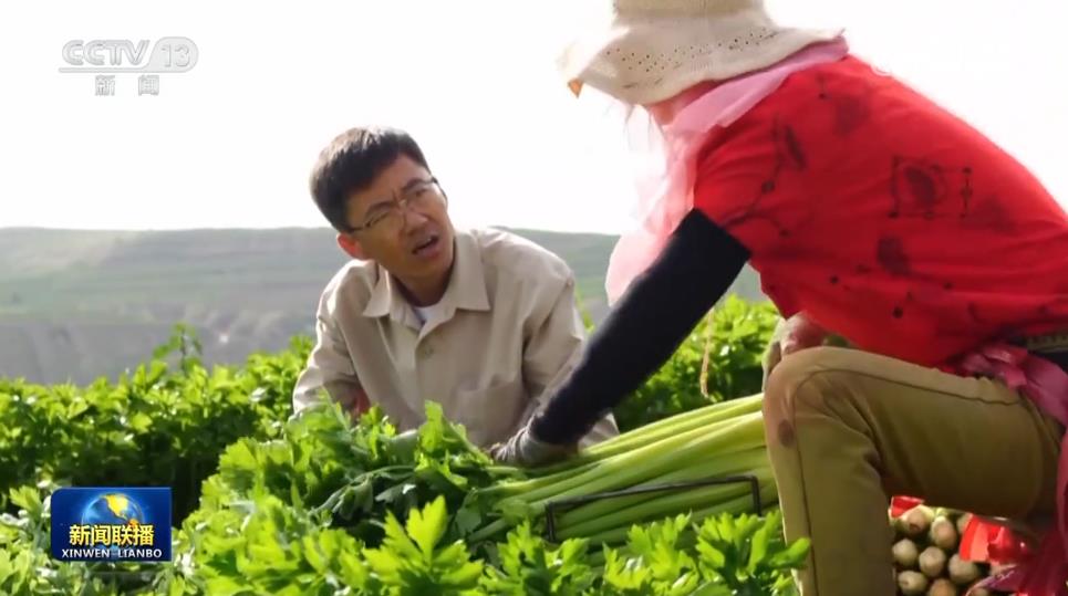 
长沙湘雅医院黄牛代挂号电话票贩子号贩子网上预约挂号,住院检查加快,【新春走基层】西海固的新农人