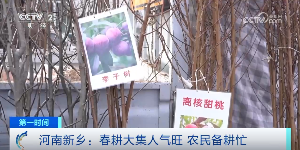 
中山大学附属第一医院黄牛代挂号电话票贩子号贩子网上预约挂号,住院检查加快,神州大地万象“耕”新 希望田野奏响春耕春管“交响曲”