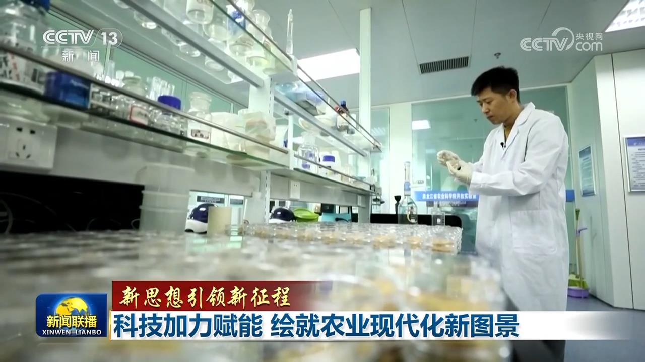 
南京各大医院黄牛代挂号电话票贩子号贩子网上预约挂号,住院检查加快,【新思想引领新征程】科技加力赋能 绘就农业现代化新图景