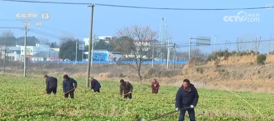 
江苏省中医院黄煌的号黄牛代挂号电话票贩子号贩子网上预约挂号,住院检查加快,育种插秧、翻耕稻田，生产忙！各地春耕沃野生机勃勃