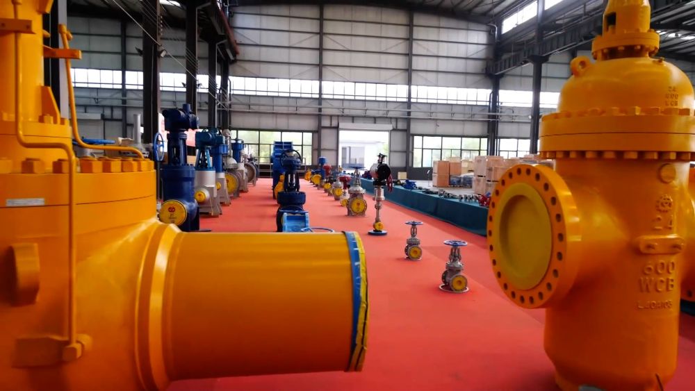 
杭州各大医院黄牛代挂号电话票贩子号贩子网上预约挂号,住院检查加快,燕赵大地“县县集群”崛起 产业活力迅猛释放