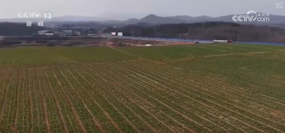 
江苏省中医院黄煌的号黄牛代挂号电话票贩子号贩子网上预约挂号,住院检查加快,育种插秧、翻耕稻田，生产忙！各地春耕沃野生机勃勃