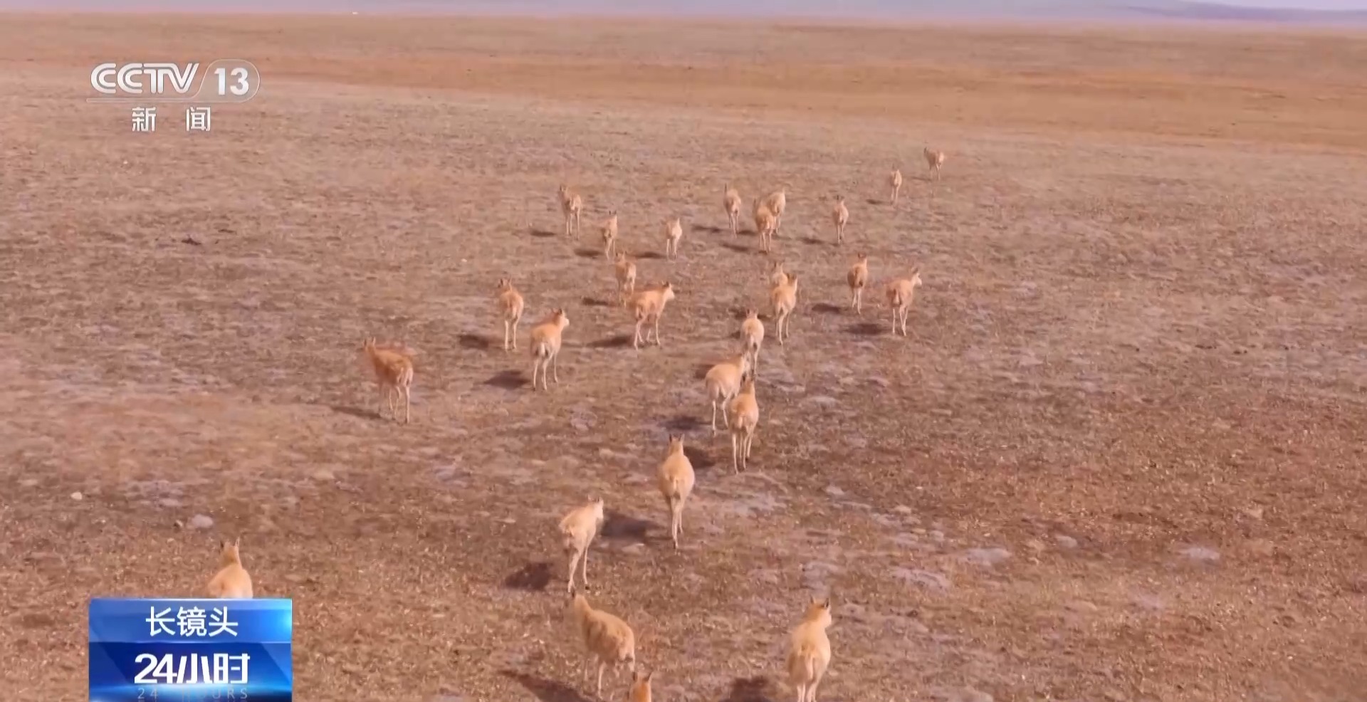 
天津眼科医院黄牛代挂号电话票贩子号贩子网上预约挂号,住院检查加快,在4.5万平方公里的土地上 他们守护着“高原精灵”