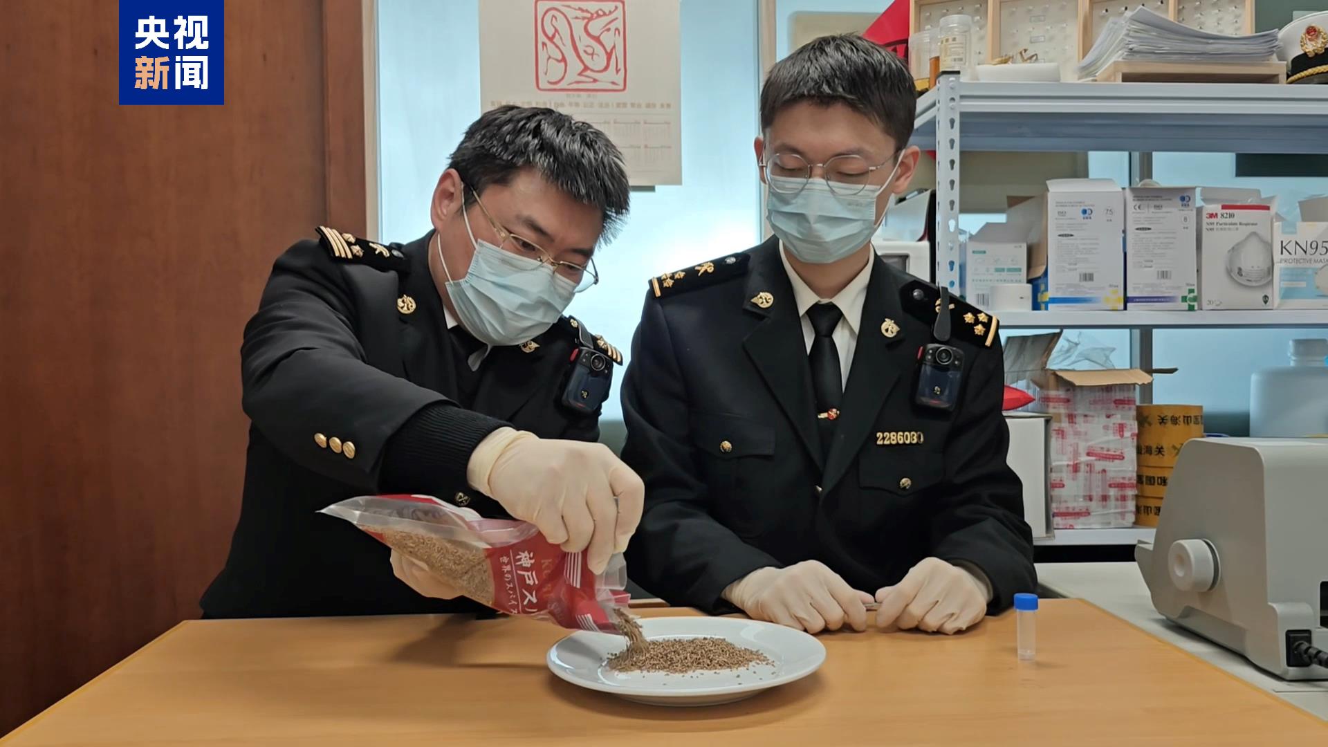 
中山大学中山眼科中心黄牛代挂号电话票贩子号贩子网上预约挂号,住院检查加快,警惕外来物种 上海海关截获假高粱和角海罂粟种子